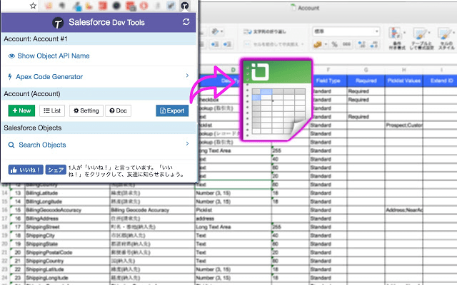 Salesforce DevTools Object Definition