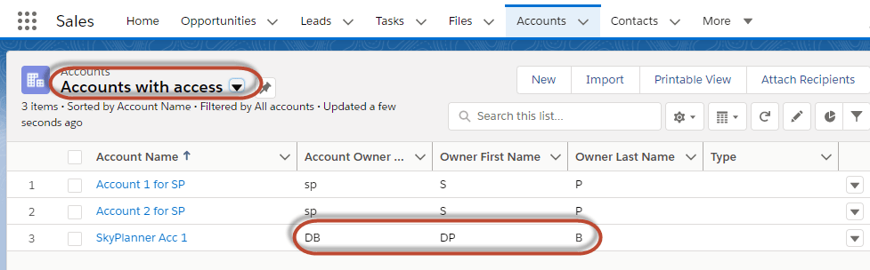 Salesforce Troubleshooting - Accounts with access