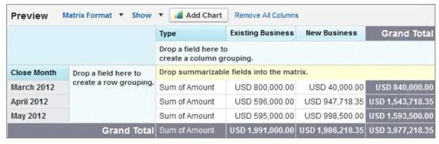 Formato de reporte Matricial en Salesforce