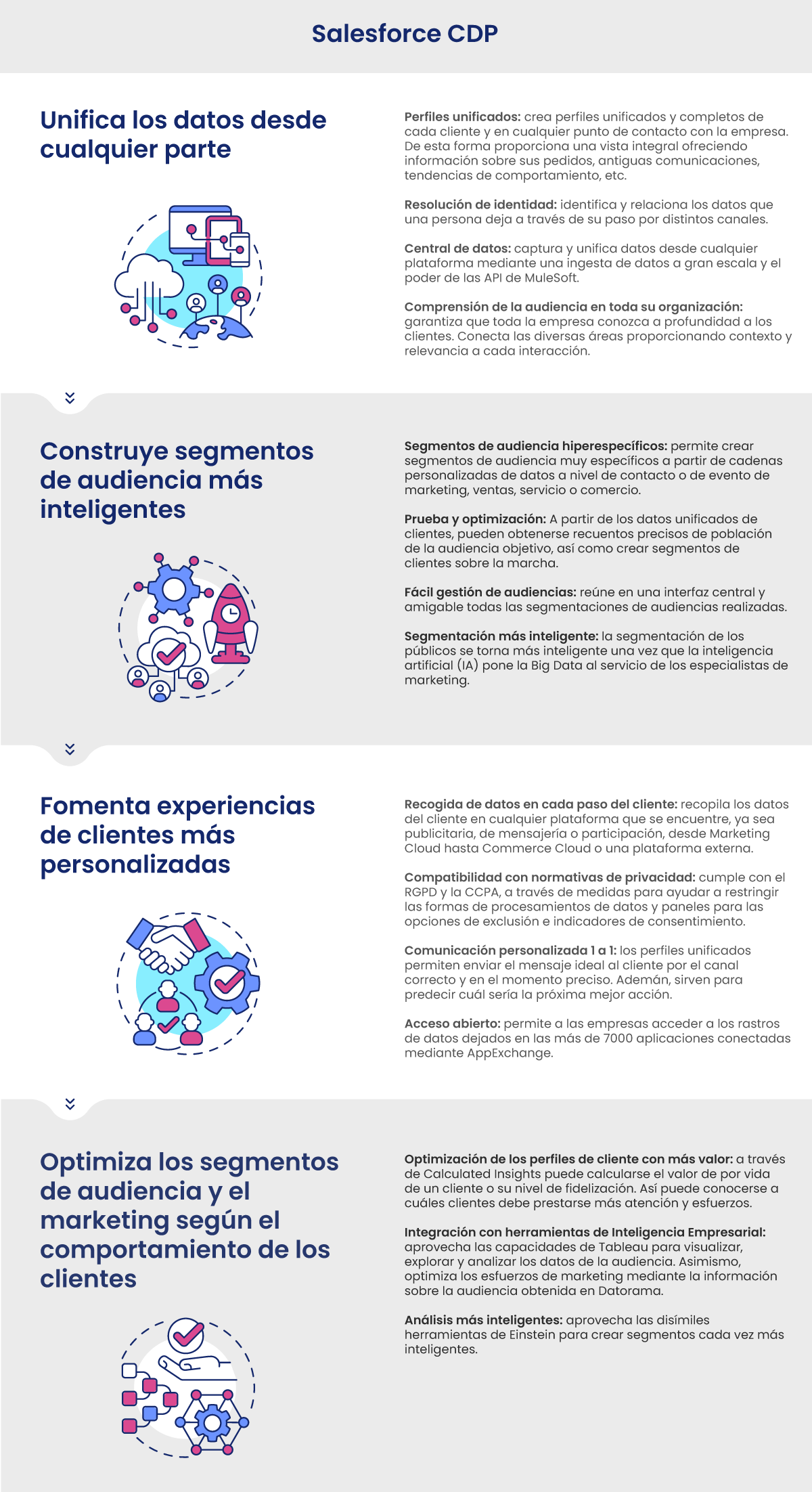 salesforce-cdp-caracteristicas