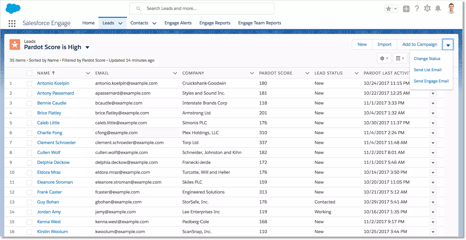 Salesforce Engage Campaigns