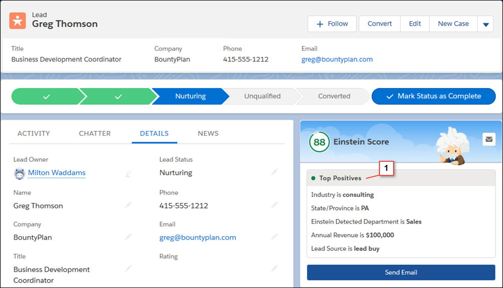 Salesforce Einstein Lead Scoring - Interface