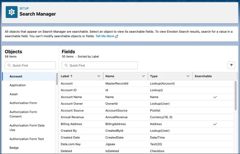 Search Manager