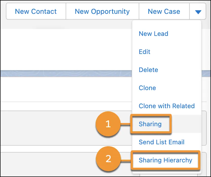 Share Individual Campaigns with Colleagues in Lightning