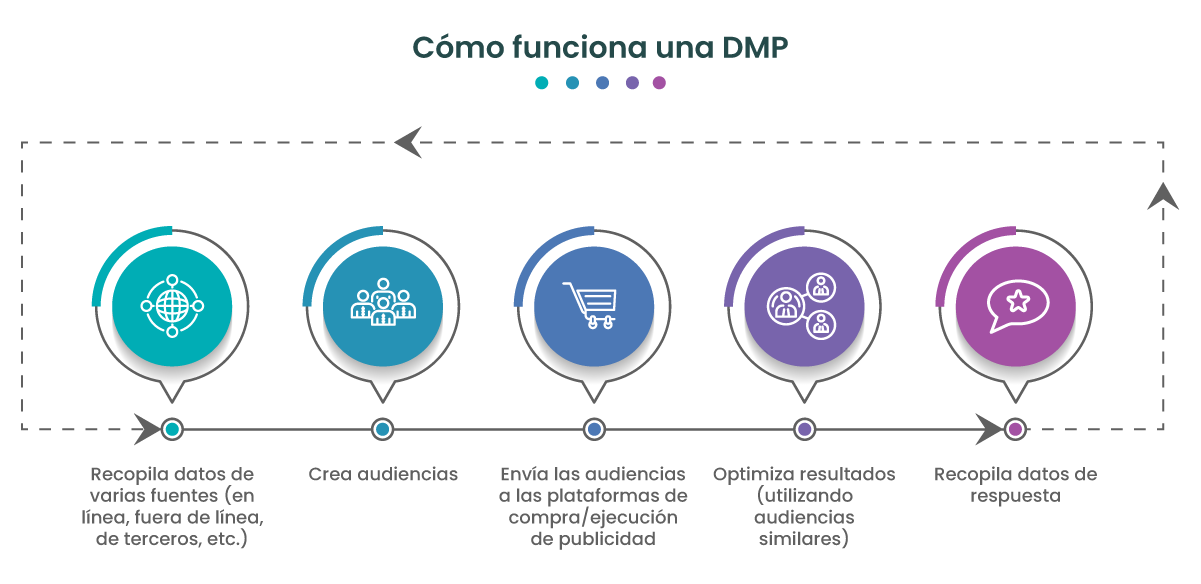 Cómo funciona una DMP