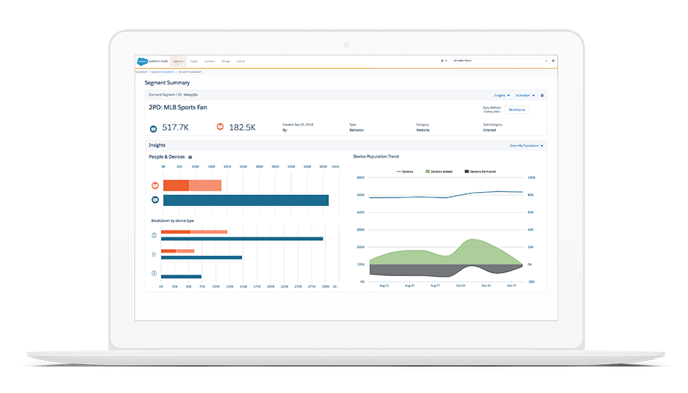 Salesforce Audience Studio - Segment Summary