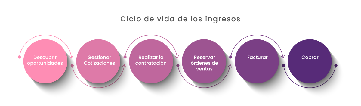 Ciclo de vida de los ingresos