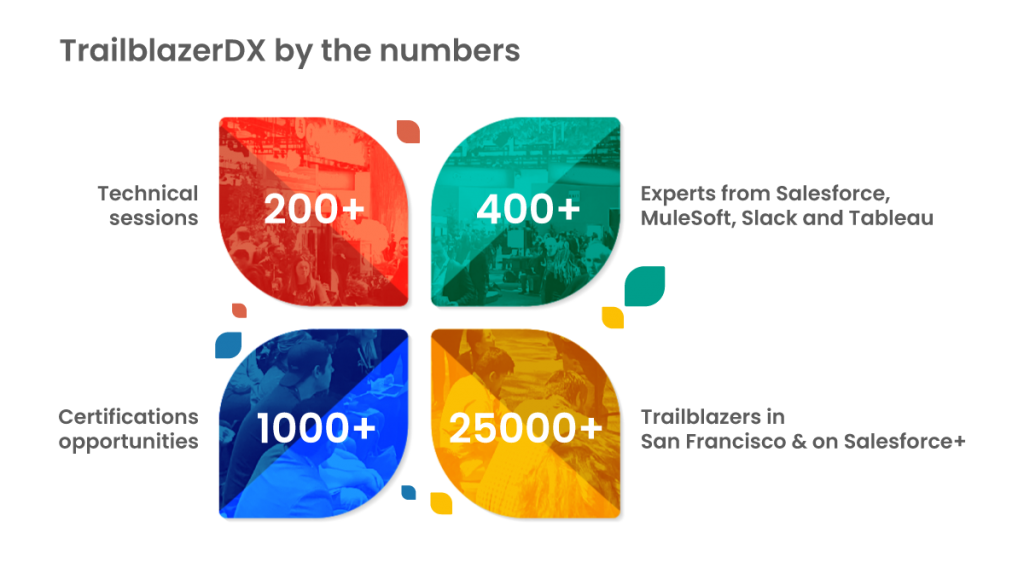 Trailblazer Dx 2024 Olympics Jodi Rosene