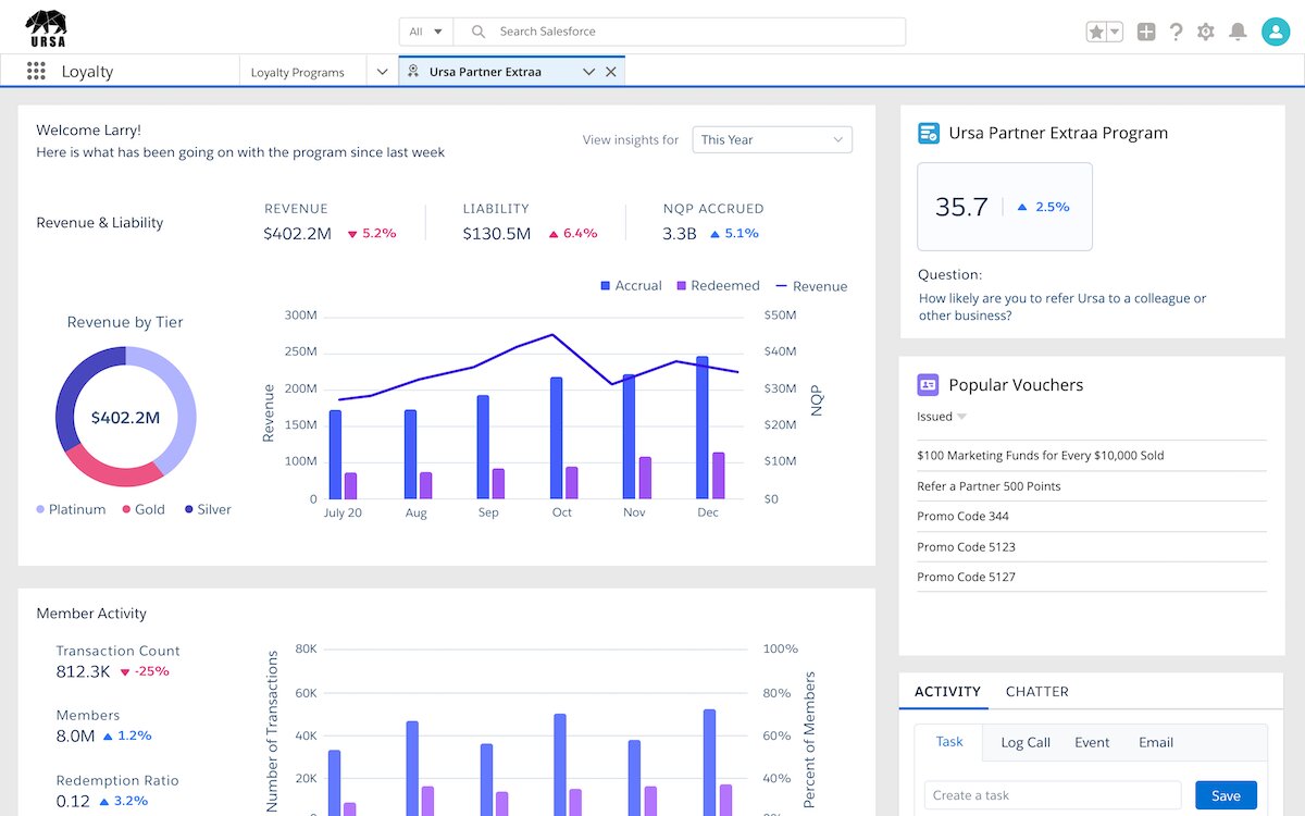 Salesforce Loyalty Management - Interface