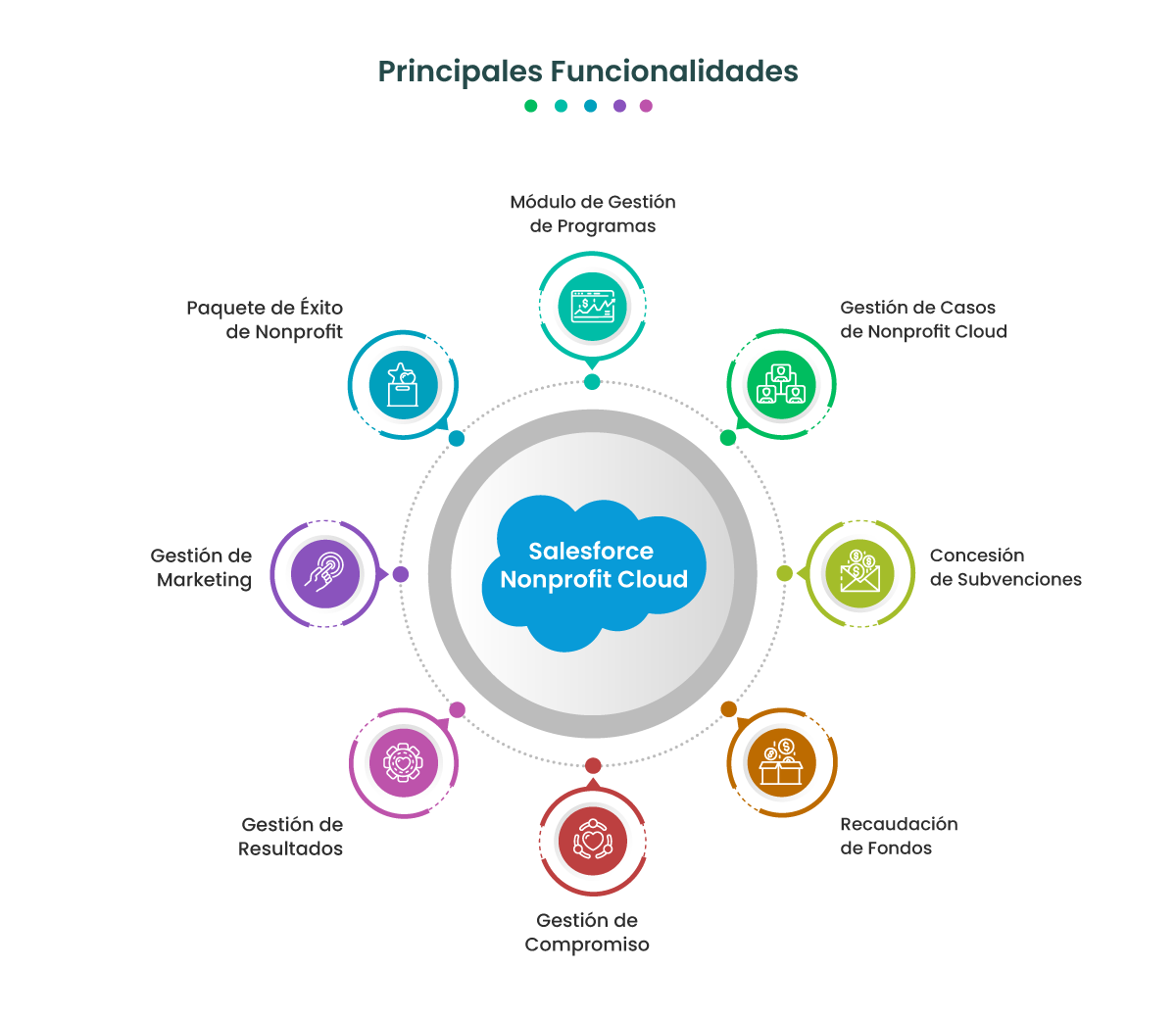 Salesforce Nonprofit Cloud - Principales Funcionalidades