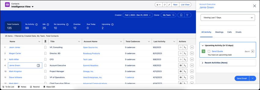 Salesforce Intelligence View